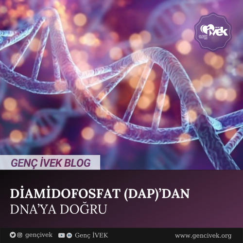  Diamidofosfat (Dap)’Dan Dna’ya Doğru 