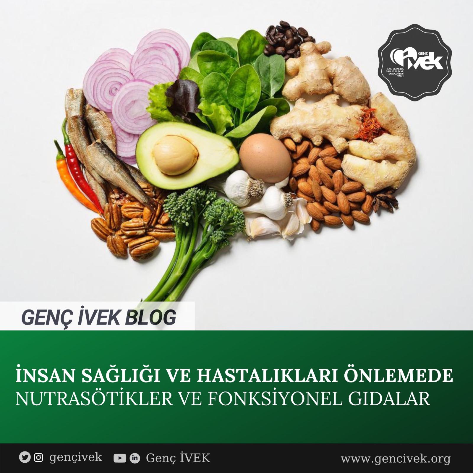  İnsan Sağlığı ve Hastalıkları Önlemede Nutrasötikler ve Fonksiyonel Gıdalar 