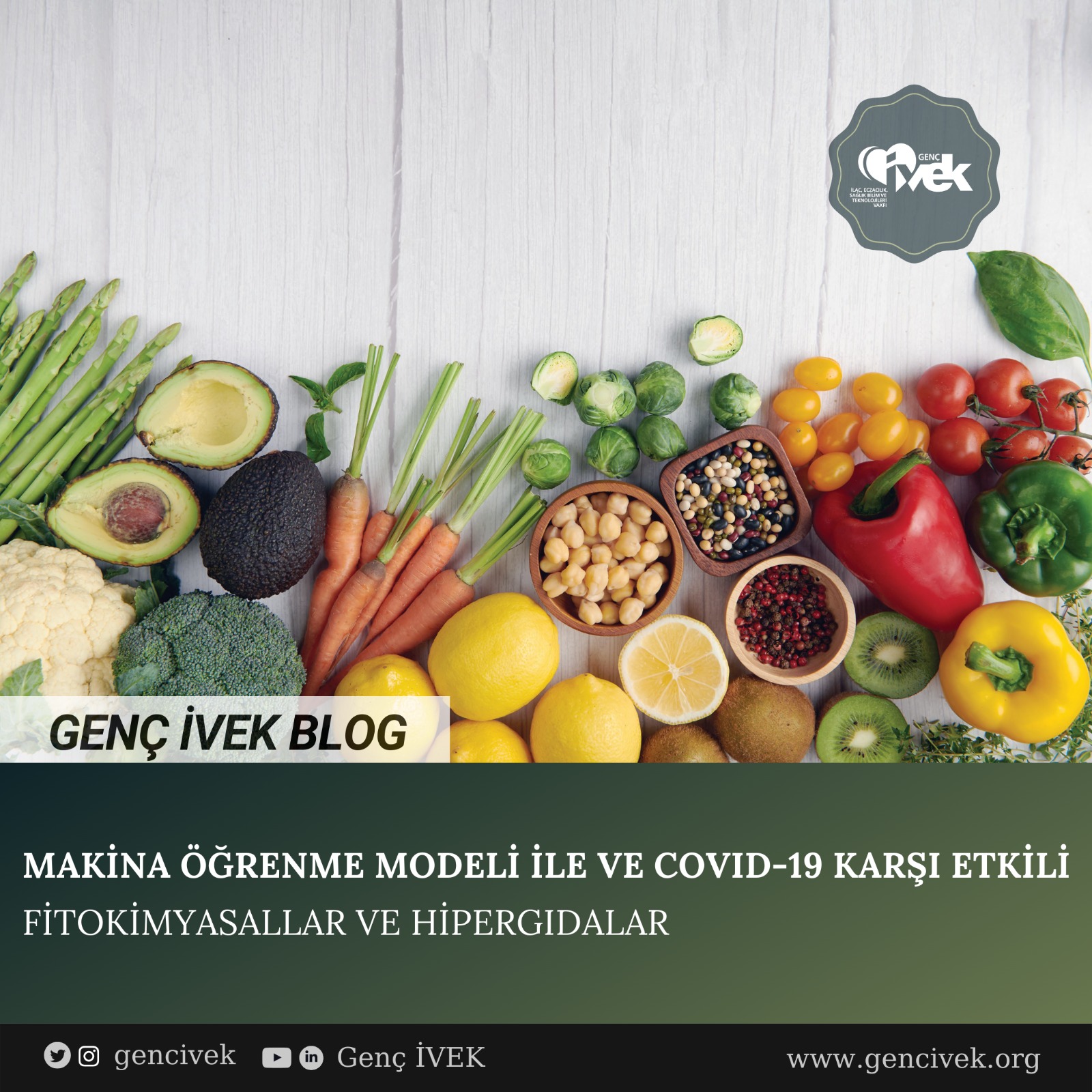  MAKİNA ÖĞRENME MODELİ İLE VE COVID-19 KARŞI ETKİLİ FİTOKİMYASALLAR VE HİPERGIDALAR 