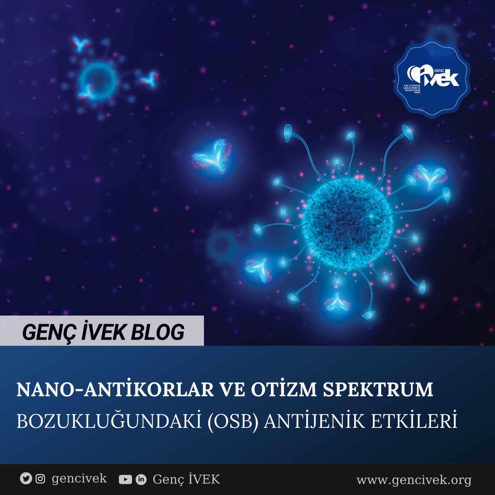  NANO-ANTİKORLAR VE OTİZM SPEKTRUM BOZUKLUĞUNDAKİ(OSB) ANTİJENİK ETKİLERİ 