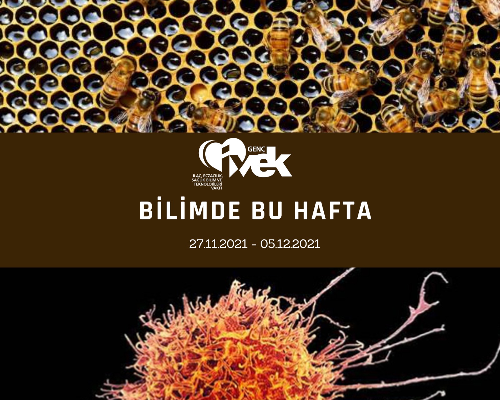  GENÇ İVEK- BİLİMDE BU HAFTA 27.11.2021- 05.12.2021 