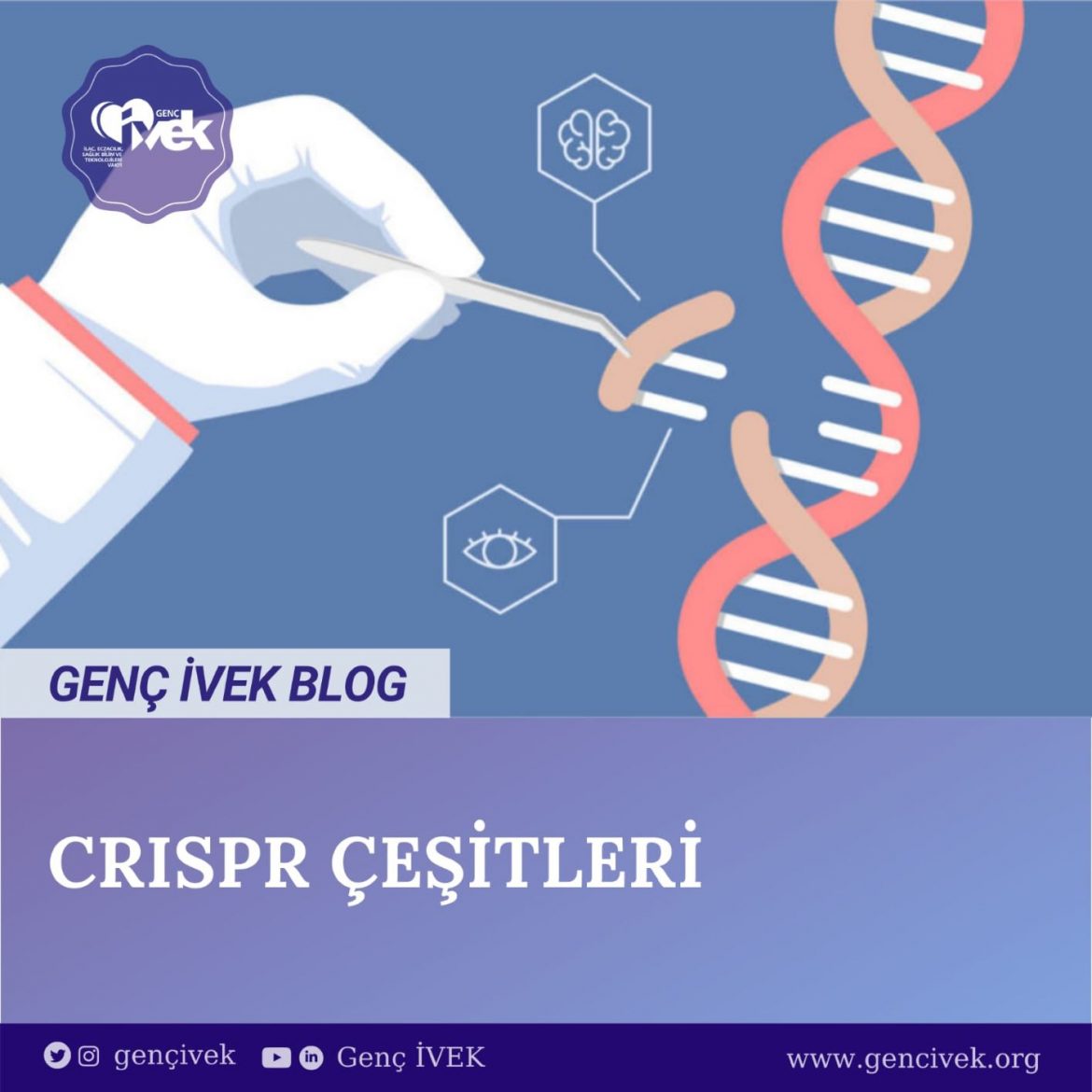 CRISPR Çeşitleri