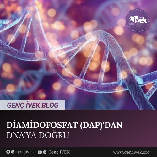 Diamidofosfat (Dap)’Dan Dna’ya Doğru